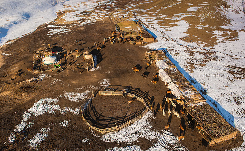 mongolia nomad life winter 